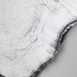 Close-up of the Arbo Dark Tree Ring Printed Glass Wall Mirror 80cm, showing frameless glass with printed growth rings and radial checks, edged in charcoal-black bark-like outline.