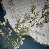 Arbo Dark Tree Ring Printed Glass Wall Mirror 80cm, frameless with charcoal bark-like edge and printed growth rings, shown close-up with fern foliage against a dark blue wall.