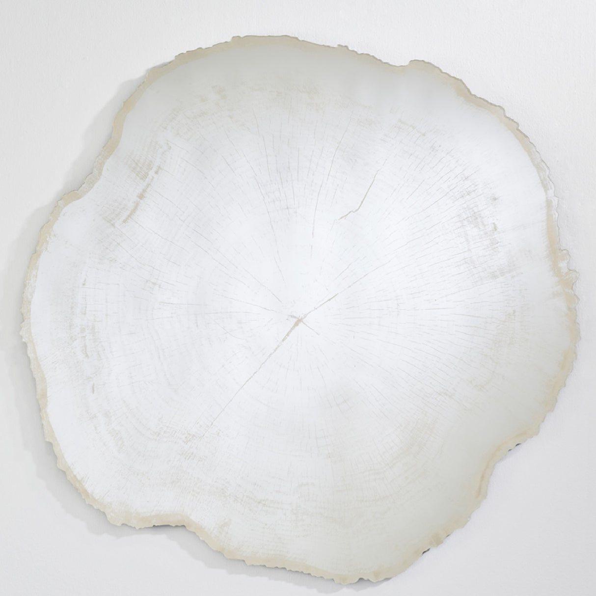 The tree ring mirror seen larger, the rings traced across the glass and the bark edge scalloped all the way round.