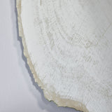 Close-up of the scalloped bark edge where the frosted print stops and the plain wall shows behind the glass.
