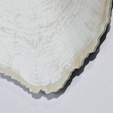 Close-up of the growth rings and the moulded outer edge, the tracing fading towards the centre.