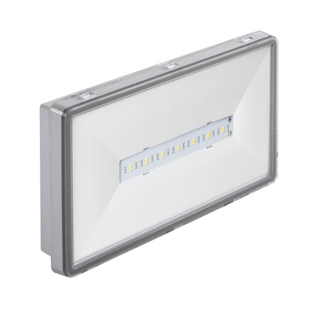 ONTEC S 3.3W Maintained Emergency Light Auto-Test Surface IP65 - White