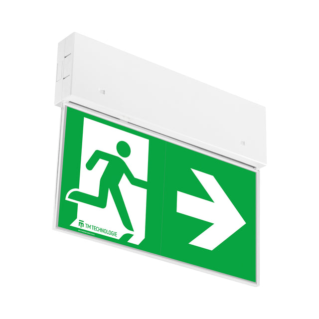 ONTEC G 250x30 3W Maintained Emergency Light - Auto-Test Surface - White