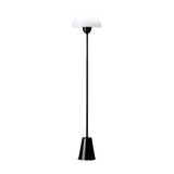 Star Floor Lamp in glossy black, slim iron stem on a conical base with a white acrylic dome shade, E27 fitting, shown against a plain white background.