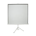 Projector Screens