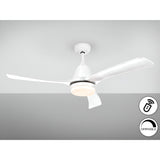 Aspas CCT Dimmable LED Wood Ceiling Fan Light - White