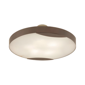 Industrial Ceiling Lights