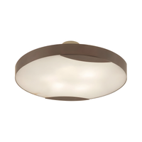 Industrial Ceiling Lights