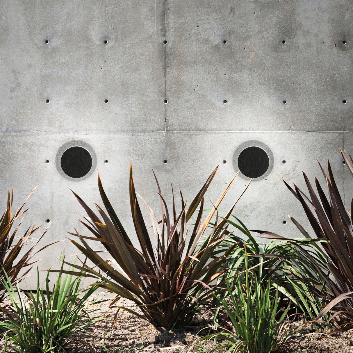 Toffee Outdoor Wall Light - Black in situ