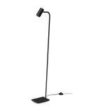 Ginger Floor Lamp 1 Light - Black