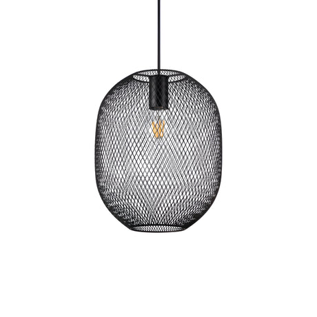 The Aeron 1 Light Pendant in black, measuring 24cm, elegantly descends from the ceiling as a modern lighting solution. Its round shape and exposed bulb create intricate shadows against a plain white backdrop. This eye-catching piece boasts a sleek black finish that enhances any contemporary setting.