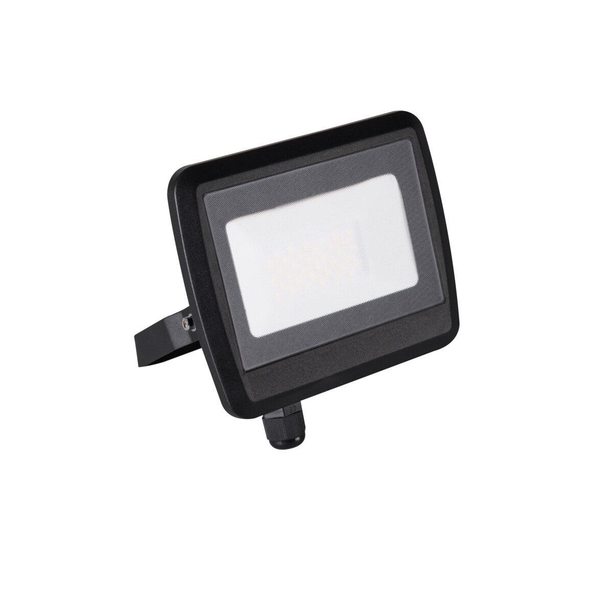 Antem 30W LED Floodlight IP65 - Black