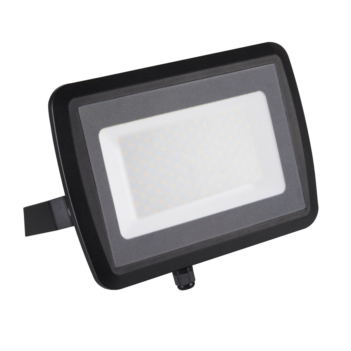 Antem 100W LED Floodlight - Black