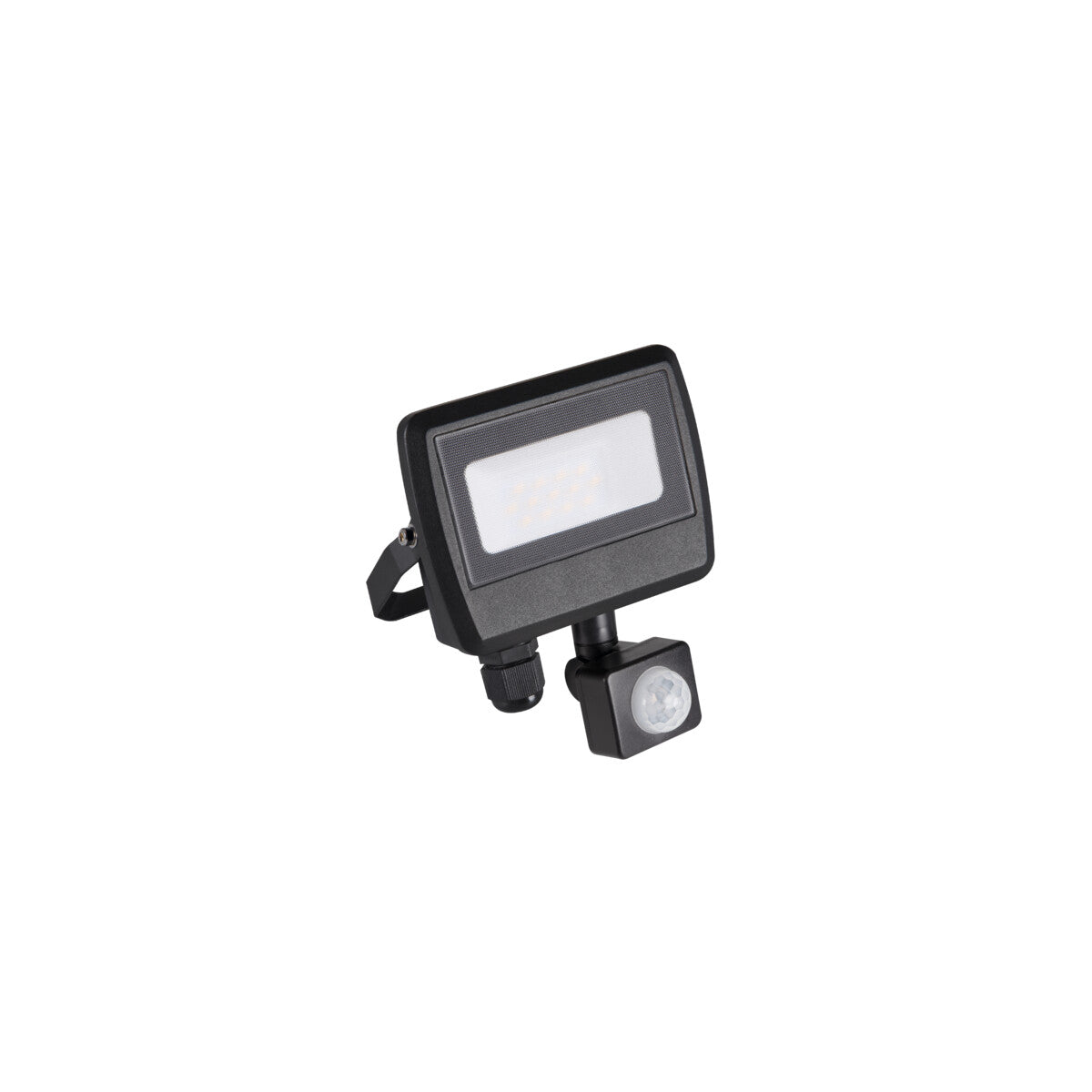 Antem 10W PIR LED Floodlight - Black