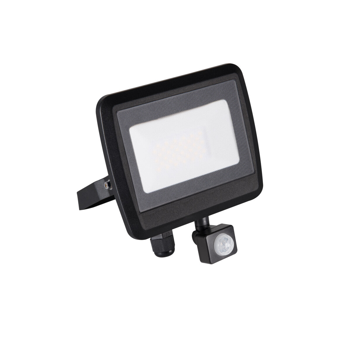 Antem 30W LED Floodlight with PIR Sensor - Black