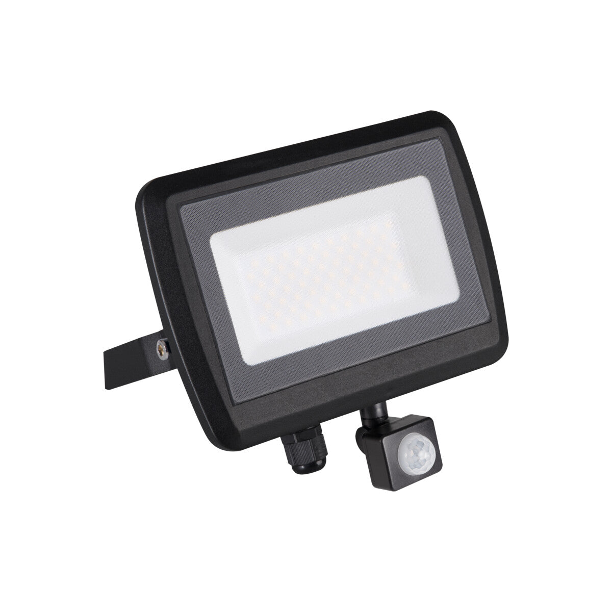 ANTEM LED 50W PIR Floodlight - Black