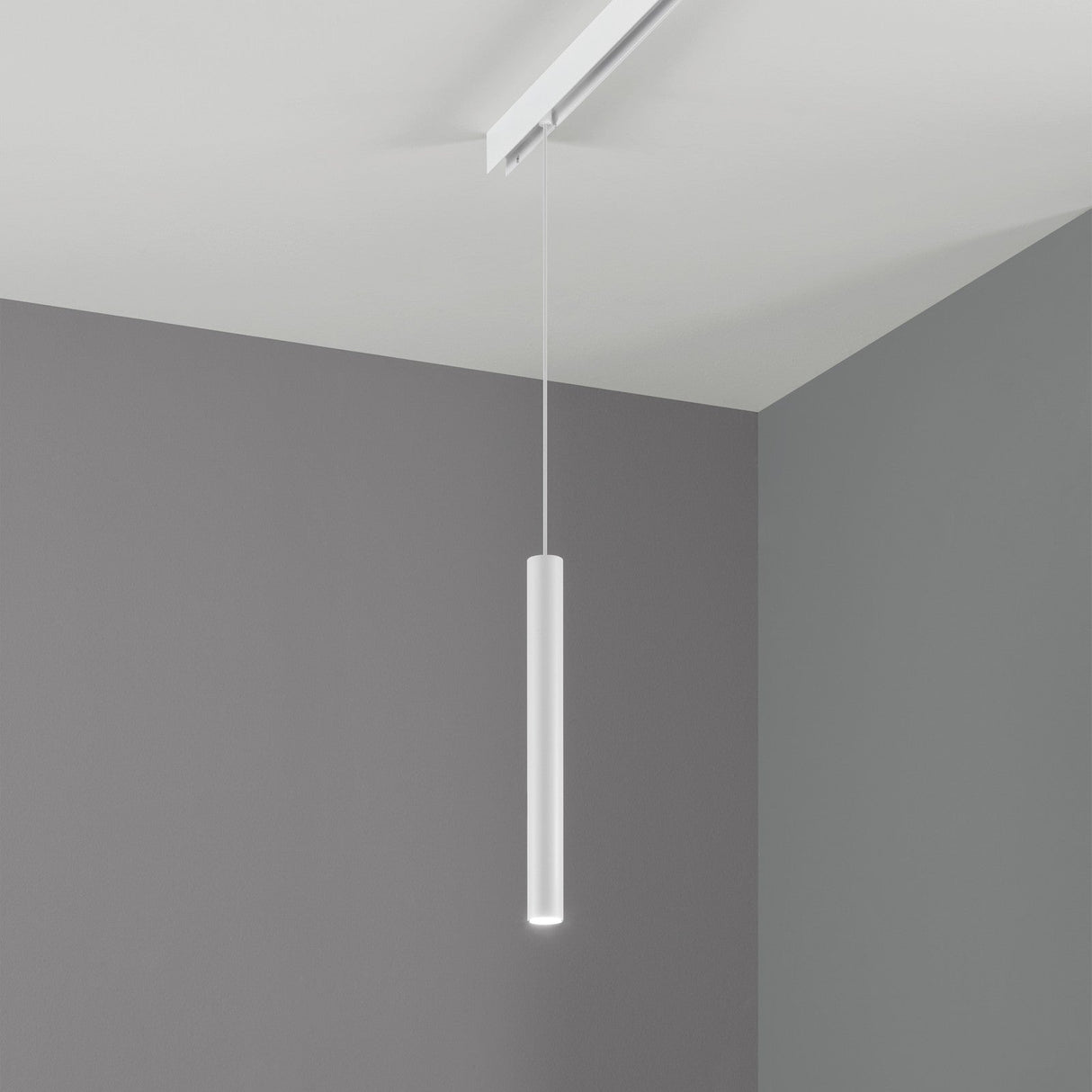Ego Pendant Tube Track Light 5.5W - Black in situ