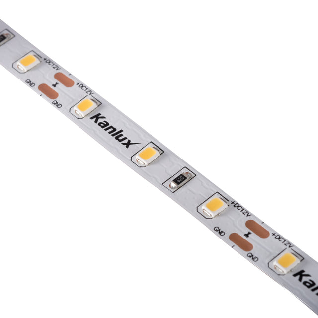 SMD LED Strip 11W/m 5m Reel Cut-to-Length 12V - Cool White