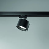 Spike Track Spotlight - Black in situ