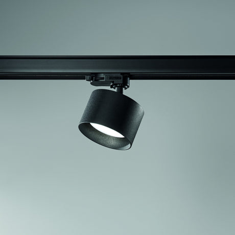 Spike Track Spotlight - Black in situ