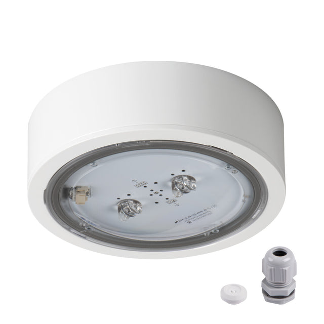 Itech 4.5W Ø170 Surface Emergency Light C2 IP65 Maintained - White