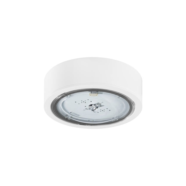 Itech 2W Ø170 Surface Emergency Light F1 IP65 - White