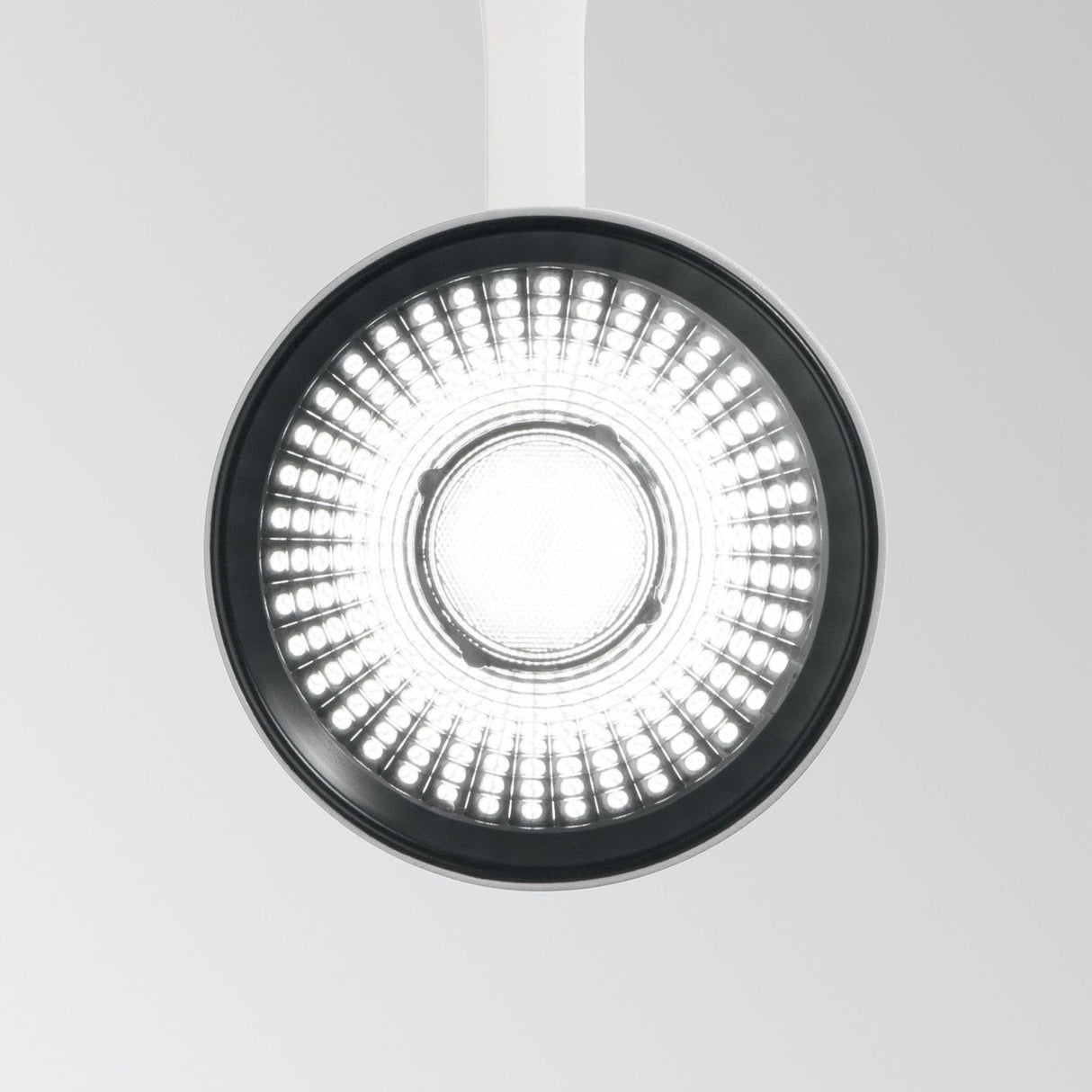 Fox Track Spotlight 25W 2700K - Black in situ