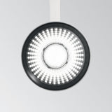 Fox Track Spotlight 25W 2700K - Black in situ