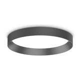 Fly Flush Ceiling Light 350mm - Black