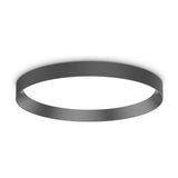 Fly Flush Ceiling Light 450mm - Black
