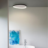 Gemini Flush Ceiling Light 425mm - Black in situ