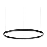Oracle Slim Round Pendant Light 900mm 4000K DALI - Black
