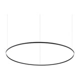 Oracle Slim Round Pendant Light 1500mm 4000K DALI - Black