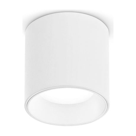 Nitro Spotlight - White