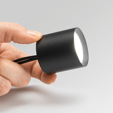 Nitro Spotlight - Black in situ