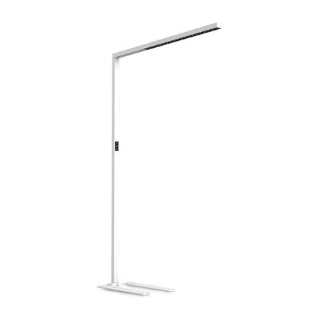 Comfort Tunable Floor Lamp - White