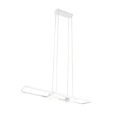 Albany 2 Light LED Up Down Chandelier – Matt White