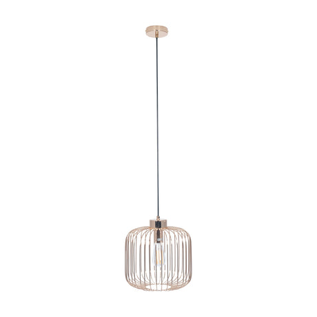 Dania French Gold Iron Wire Pendant Light, 30cm, a drum-shaped cage shade in gold-toned metal on a black cord with matching ceiling rose, shown against a plain white background.