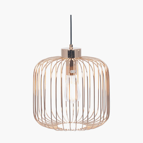 Dania French Gold Iron Wire Pendant Light, 30cm, a cage-style fixture with vertical wire ribs around a visible bulb, on a plain white background.