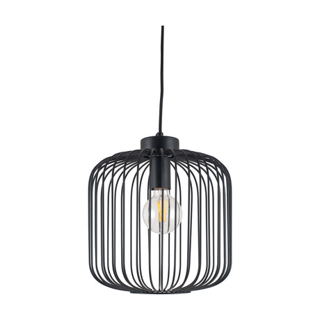 Dania Matt Black Iron Wire Pendant Light, 30cm, cage-style shade with visible bulb on a black cord, shown against a plain white background.