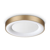 Planet Flush Ceiling Light 400mm - Brass