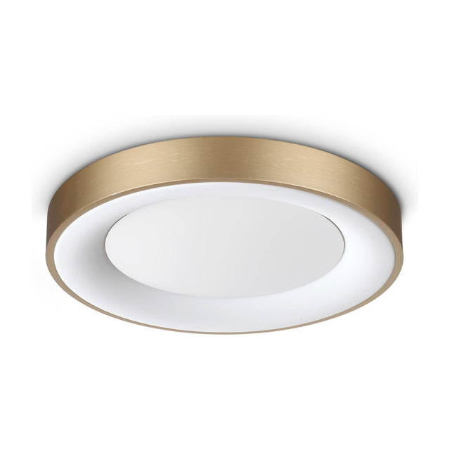 Planet Flush Ceiling Light 400mm - Brass