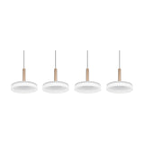 Celeste 4 Light LED Glass Chandelier – Coffee