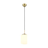 Fomento Globe 30cm Pendant – Satin Brass