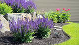 GRIBLO GU10 Garden Spike Light IP65 - Anthracite