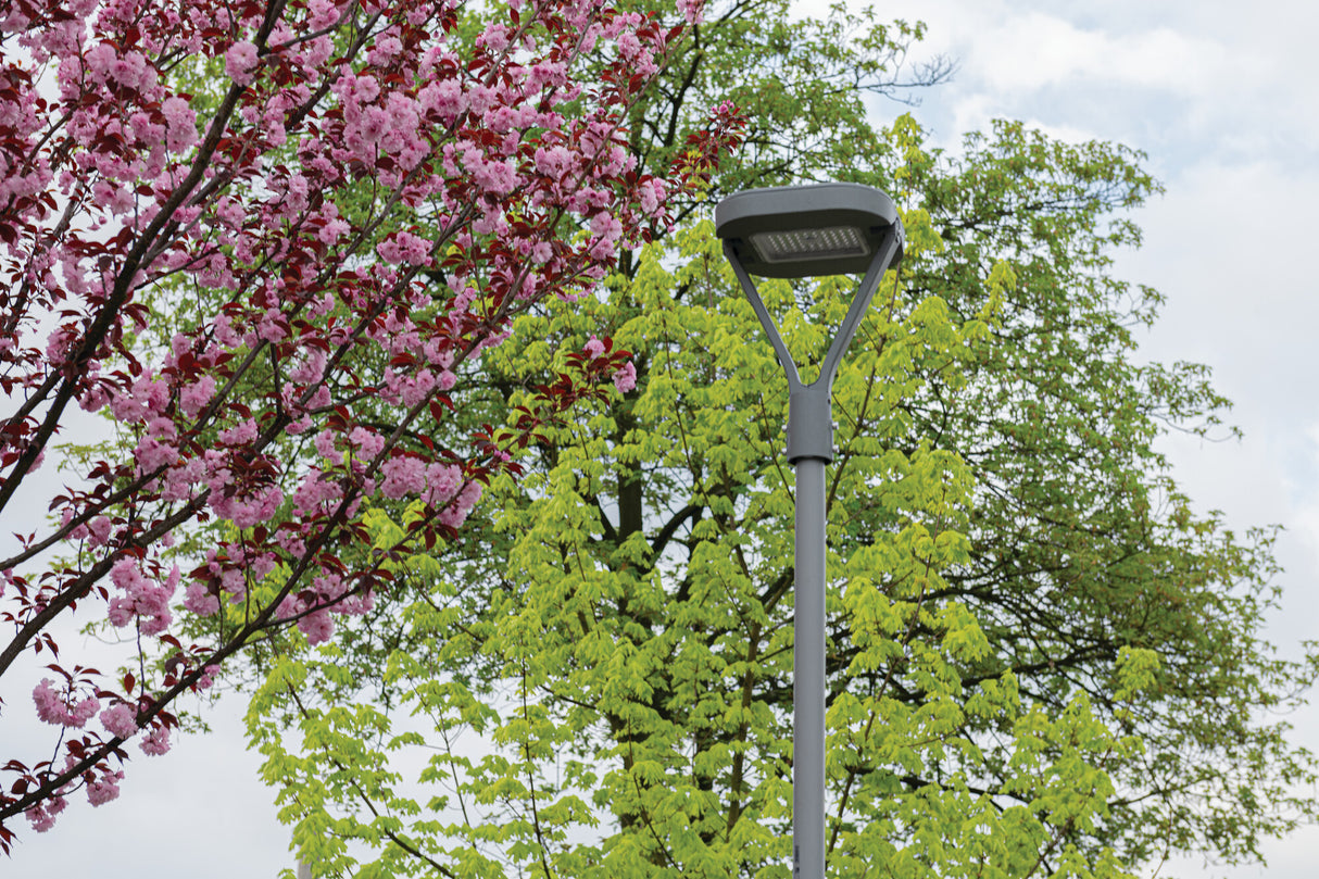 PARCOLI 50W Colour Selectable Street Light IP66 - Grey