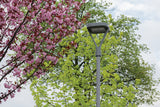 PARCOLI 50W Colour Selectable Street Light IP66 - Grey