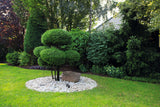 VORA SP GU10 Garden Spike Light - Anthracite