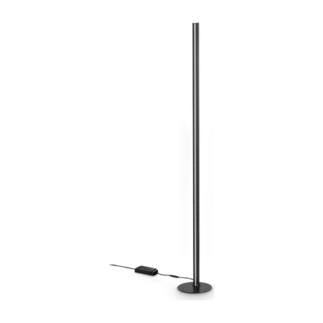 Dorica Floor Lamp - Black