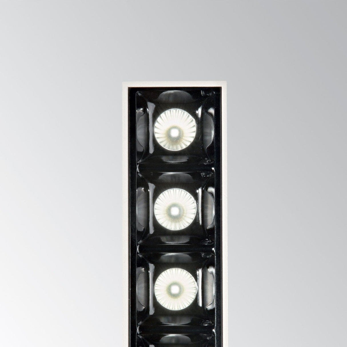 Lika Trimless Downlight 8W 3000K - Black in situ